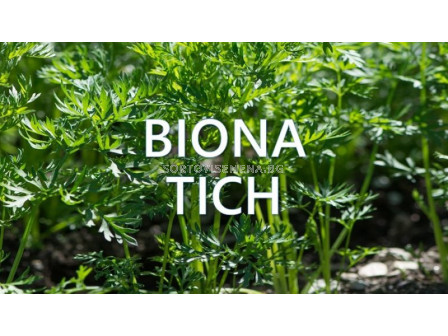 Biona Tich - Биона Тич