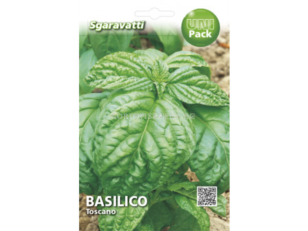 Семена Босилек (Basil) Toscano`SG 