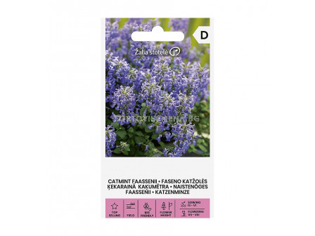 СЕМЕНА  НЕПЕТА КАТМИНТ ФАСЕНИ CATMINT FAASSENII  СК