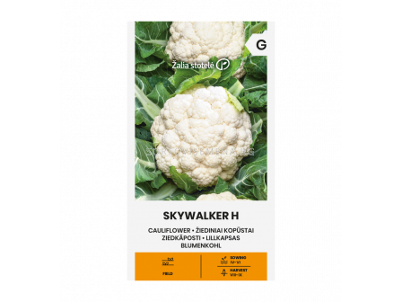 СК КАРФИОЛ СКАЙУОКЪР Х  СКАCAULIFLOWER, SKYWALKER H 