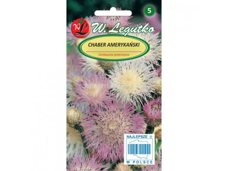 ЛГ ЦЕНТАУРЕЯ ЛИЛА-РОЗОВА Centaurea americana lilac-pink