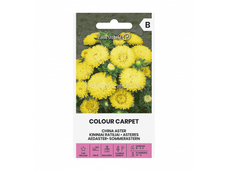 Астра жълта  ASTER CHINA, COLOUR CARPET YELLOW - 'SK - 0.5г