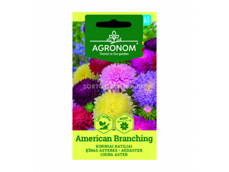 АСТРА CHINA ASTER, AMERICAN BRANCHING СК