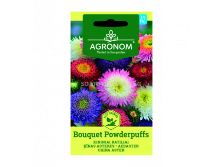 АСТРА CHINA ASTER, BOUQUET POWDERPUFF СК