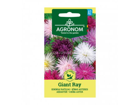 СК СЕМЕНА АСТРА ГИГАНТ CHINA ASTER, GIANT RAY