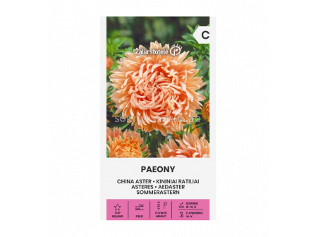 Астра PAEONY - CHINA ASTER- 'SK - 0.50 г