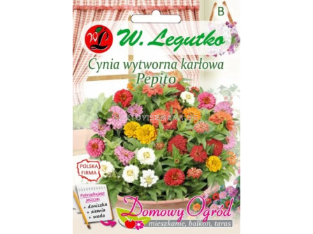 ЛГ ЦИНИЯ НИСКА ПЕПИТО Cynia wytworna karl. Pepito