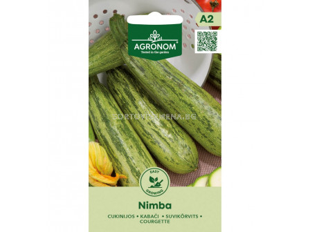 СЕМЕНА ТИКВИЧКИ НИМБА SQUASH NIMBA СК 