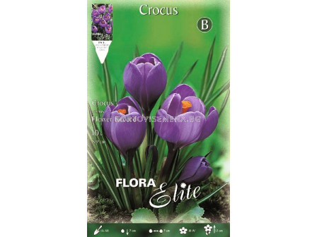 Минзухари (Crocus) Flower Record 