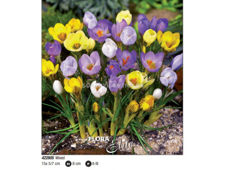 Минзухари микс/ Crocus species mixed - Пакет: 1 оп. - 15 бр.