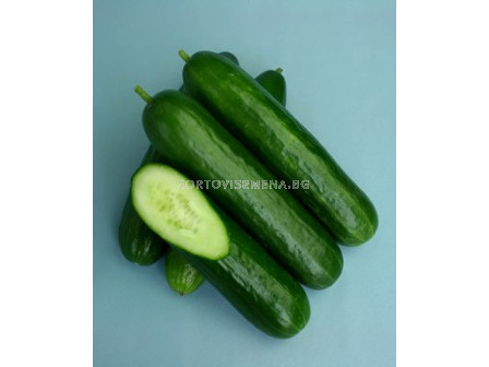 Семена краставици 5182 - cucumber 5182 - 100 сем