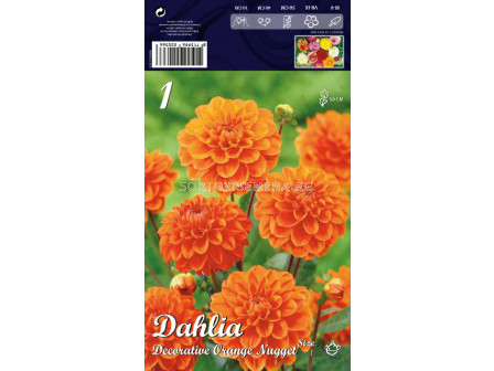Далия (Dahlia) Decorative Orange Nugget (ниска) 