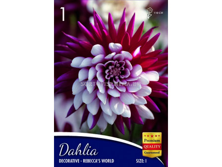 Далия (Dahlia) Decorative Rebecca's World 