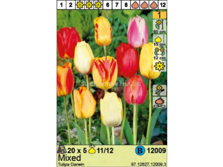 Лале/  Tulipa Darwin Mixed: Пакет: 1 оп. -  5 бр.