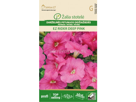 Семена Петуния розова / PETUNIA GRANDIFLORA DIDŽIAŽIEDĖS EZ RIDER / 'SK -1 оп