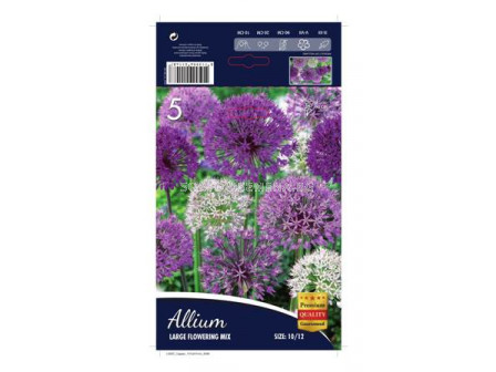 Декоративен Лук (Allium) Large Flowering Mix