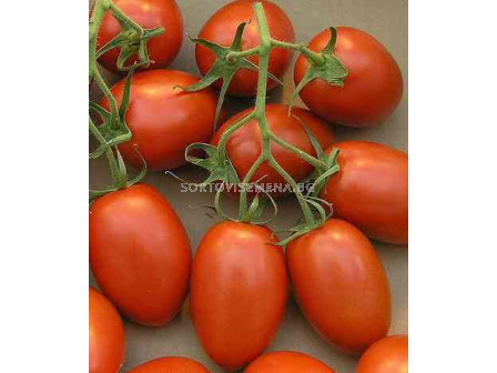 Сорт домати тип Рома CRX 71 302 F1. Аграра ООД. Сортови семена Дар