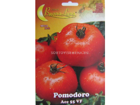 Семена домати Аче - tomato Ace