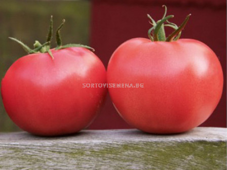Семена домати Пинк Торнадо F1