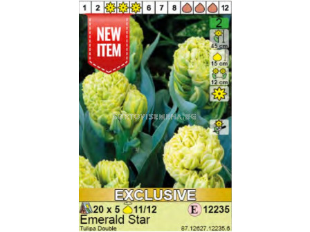 Лале/ Tulipa Emerald Star. Пакет: 1 оп.- 5 бр.