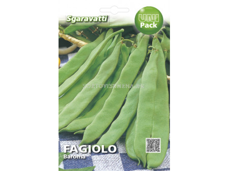 Фасул  (Beans) Baroma SG (тип Лоди)