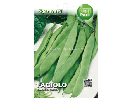 Семена Фасул (Beans) Corallo Nano SG