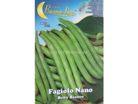 Семена фасул Италиански (зелен, кръгъл, нисък) - Beans Italian (green, round, low)