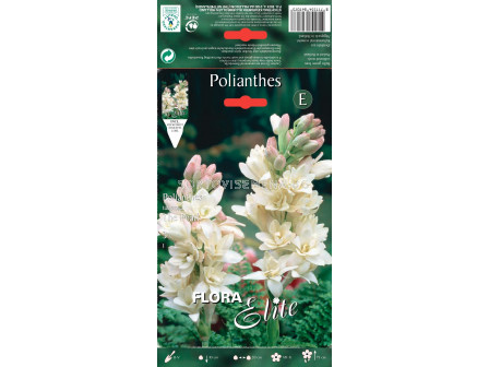 Тубероза - Polianthes tuberosa The Pearl (1 оп.- 3 бр.)