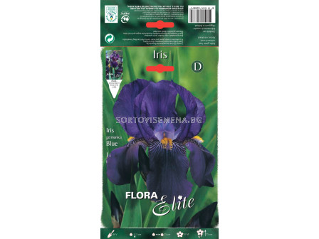 Ирис син / Iris germanica blue / 1 оп ( 1 бр )