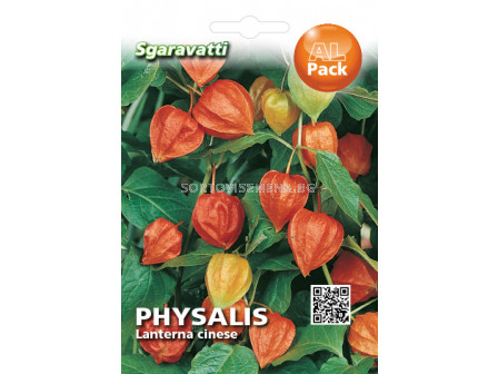 Семена Физалис (семена) SG - Physalis (seeds) SG
