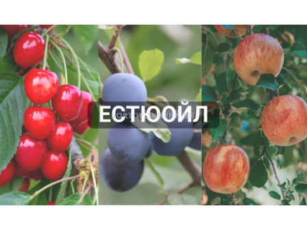 Естюойл