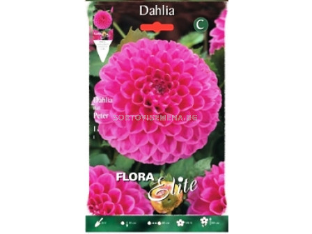 Далия (Dahlia) Peter