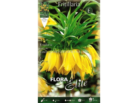 Фритилария - Fritillaria Imperialis Lutea