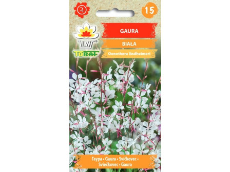 Семена Йонотера (Енотера, Гаура) бяла - Gaura biała - TF-0.5г