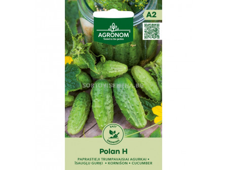 СК СЕМЕНА КОРНИШОНИ ПОЛАН Х CUCUMBER, POLAN H SK