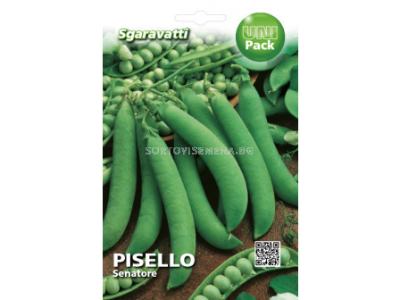 Семена грах Senatore`SG - peas Senatore`SG