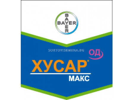 Хусар макс - ЗАБРАНЕН ПРЗ