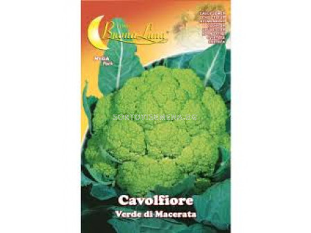 Карфиол VERDE MACERATA - MEGA PACK - BL