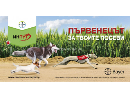 Инпут 5 л