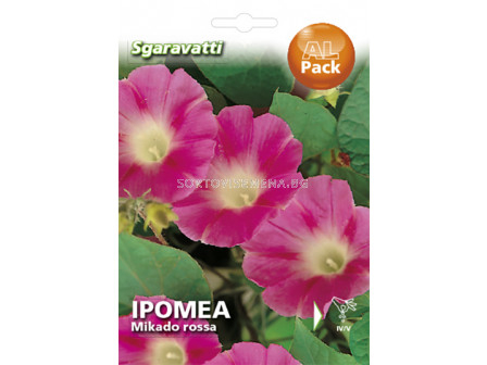 Семена Ипомея Червена`SG - Ipomoea red `SG