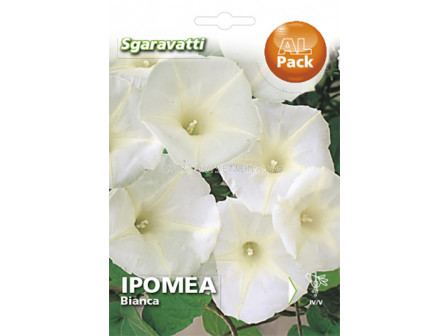 Семена Ипомея Бяла`SG - Ipomoea White `SG