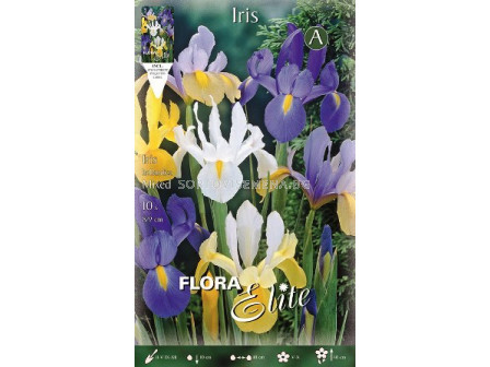 Ирис (Iris) Hollandica Микс 8/9