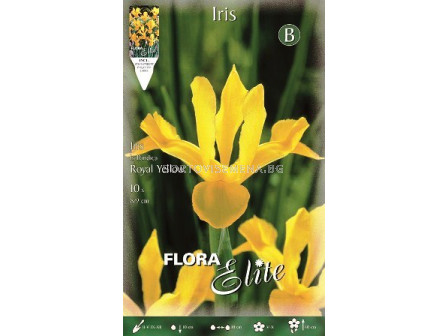 Ирис (Iris) Royal Yellow