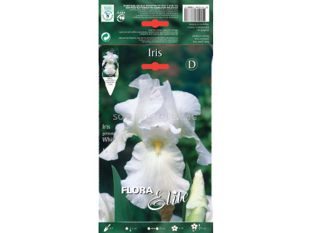  Ирис бял / Iris germanica white / 1 оп ( 1 бр ) 