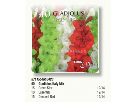 Гладиоли Italy mix pizza box - 1 кутия - 40 бр. луковици