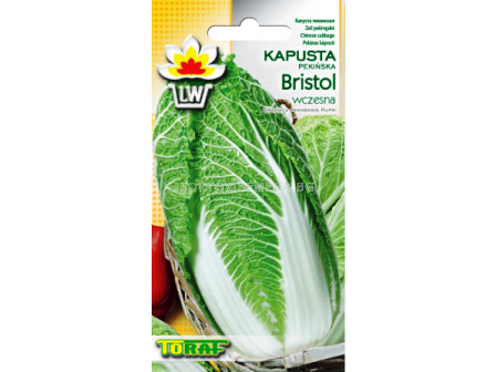 Семена Китайско зеле Bristol - Chinese cabbage Bristol