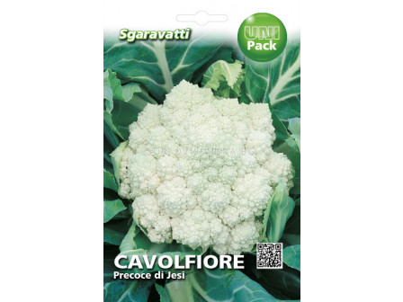 Семена карфиол Джеси`SG - Cauliflower Jesse`SG