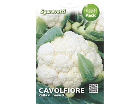 Семена Карфиол (Cauliflower) Palla di Neve`SG