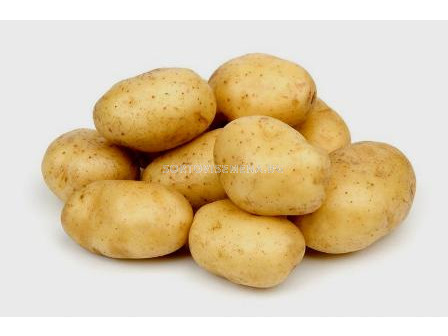 Семе картофи Агата 25кг