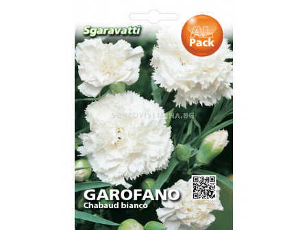 Семена Карамфил Шабо Бял`SG - Cloves Shabo White`SG